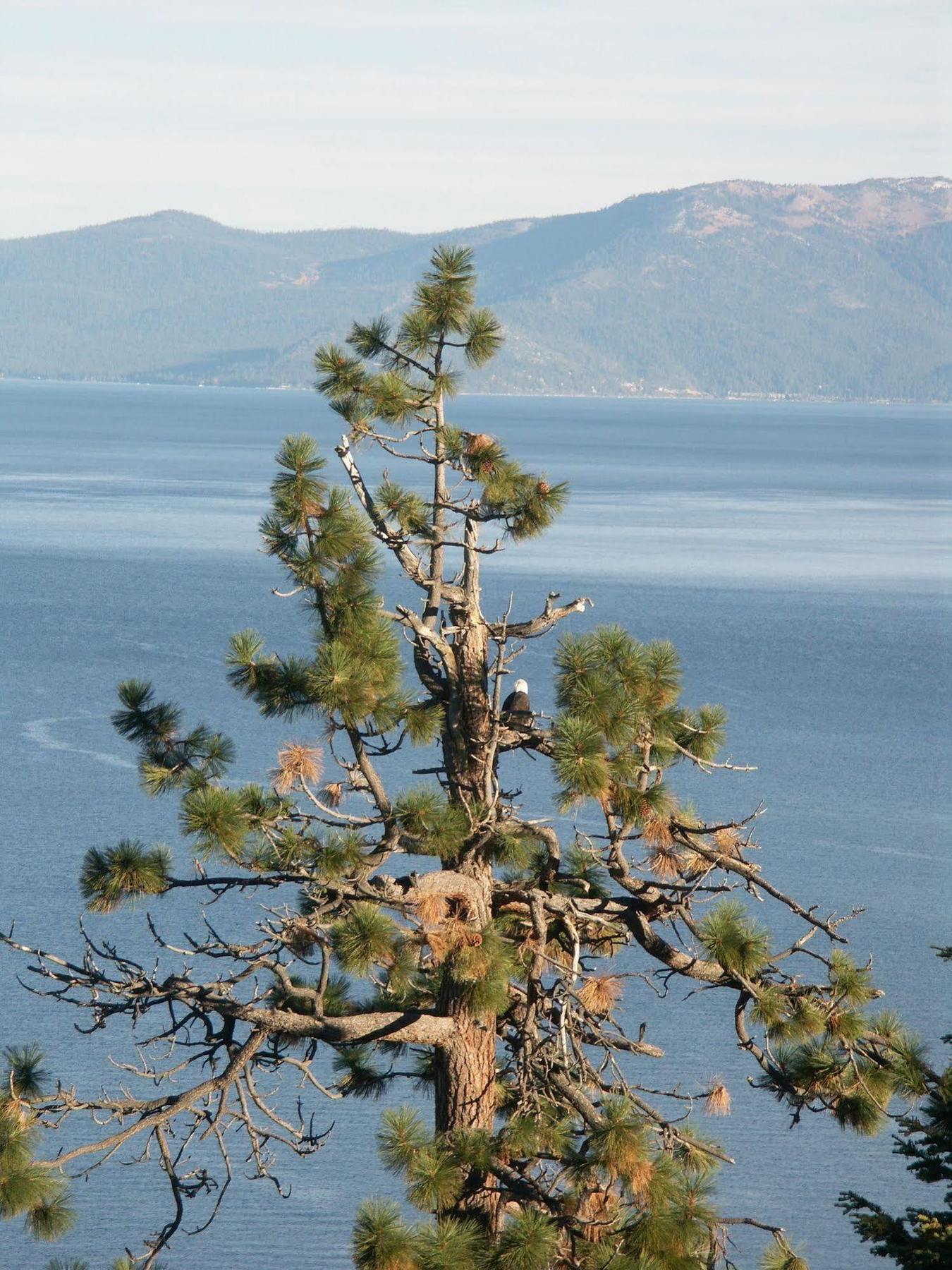 Where Eagles Fly Bed & Breakfast Elk Point Eksteriør billede